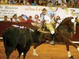 Imagem de TOURADA: CORRIDA DE TOUROS DE ARRUDA DOS VINHOS - 2010  