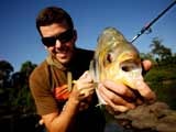 Imagem de Mega Piranha