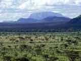 Imagem de O Vale do Grande Rifte: Coração Selvagem de África