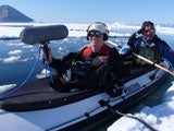 Imagem de ÁRTICO: VIDA NOS GELOS (ARTIC)