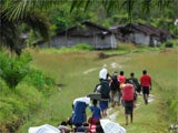 Imagem de SELVAS: OS POVOS DAS ÁRVORES (JUNGLES)