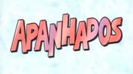 Apanhados