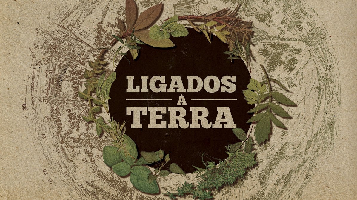 Ligados  Terra