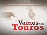 Vamos aos Touros