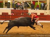 Imagem de Corrida de Touros - Montijo