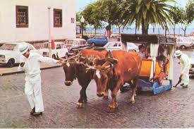 Imagem de Espa�o Mem�ria