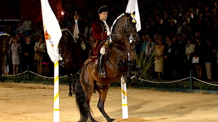 Espetculo da Escola Portuguesa de Arte Equestre