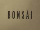 Imagem de Bonsai