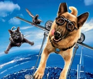 Imagem de Cães e Gatos: A Vingança de Kitty Galore