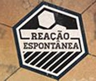 Imagem de Reação Espontânea