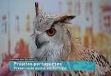 Imagem de Projetos de Preserva��o Animal em Portugal
