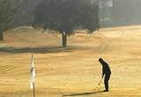 Golfe em Portugal