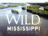 Imagem de Mississipi Selvagem