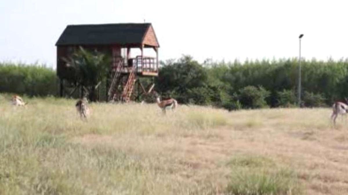 Funda - Mubanga Lodge