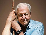 Imagem de Attenborough - 60 Anos de Vida Selvagem