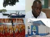 Setor das Pescas na Guin-Bissau