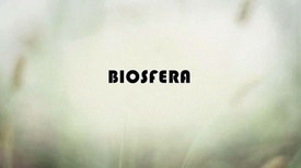 Biosfera - De resíduo a combustível