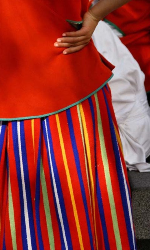Imagem de Traje Regional de Folclore
