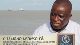 Imagem de Riquezas Mar�timas