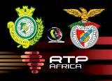 Imagem de Vit�ria de Set�bal x Benfica