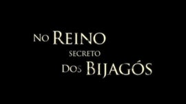 Imagem de No Reino Secreto dos Bijags