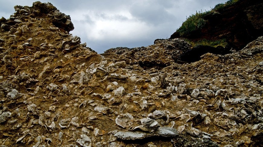 Os Fósseis de Santa Maria - Açores