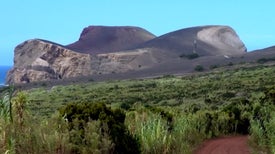 Os Fósseis de Santa Maria - Açores