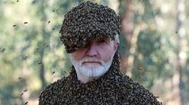 Imagem de Concentra��o de Animais