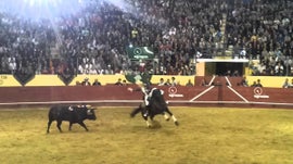 Imagem de Tourada - XIX Grande Corrida TV do Norte (2015)