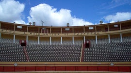 Imagem de Tourada: Corrida do Emigrante
