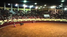 Imagem de Tourada: Grande Corrida do Algarve
