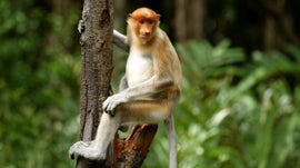 Imagem de Peru, Pa�s de Extremos