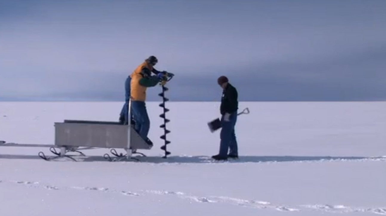 Imagem de A Verdadeira História