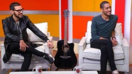 Imagem de Martim Vicente, Diogo Clemente, Nair Xavier, Mister Nice, Black Boy e Hugo Boss