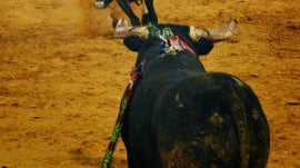 Imagem de Corrida de Touros