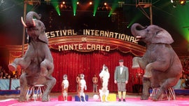 Imagem de 37� Festival Internacional do Circo de Monte Carlo