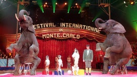 Festival de Circo de Monte Carlo - Os Melhores Nmeros de Circo dos ltimos 10 Anos