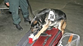 Imagem de Operao Conscincia Limpa