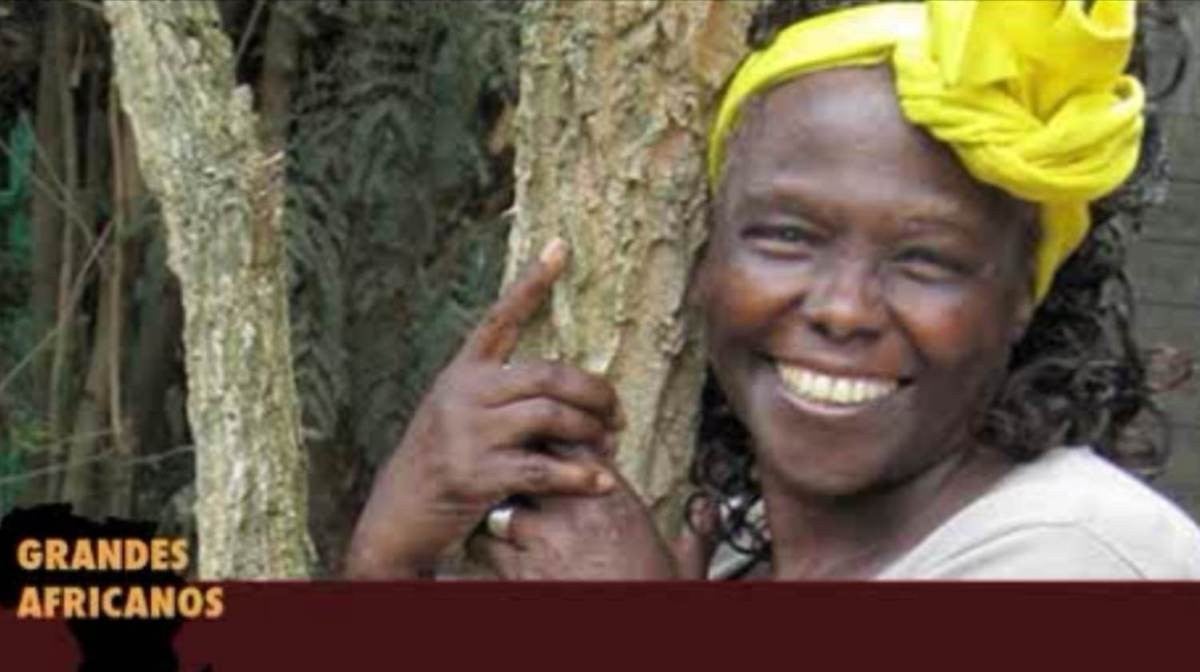 Imagem de Wangari Muta Maathai