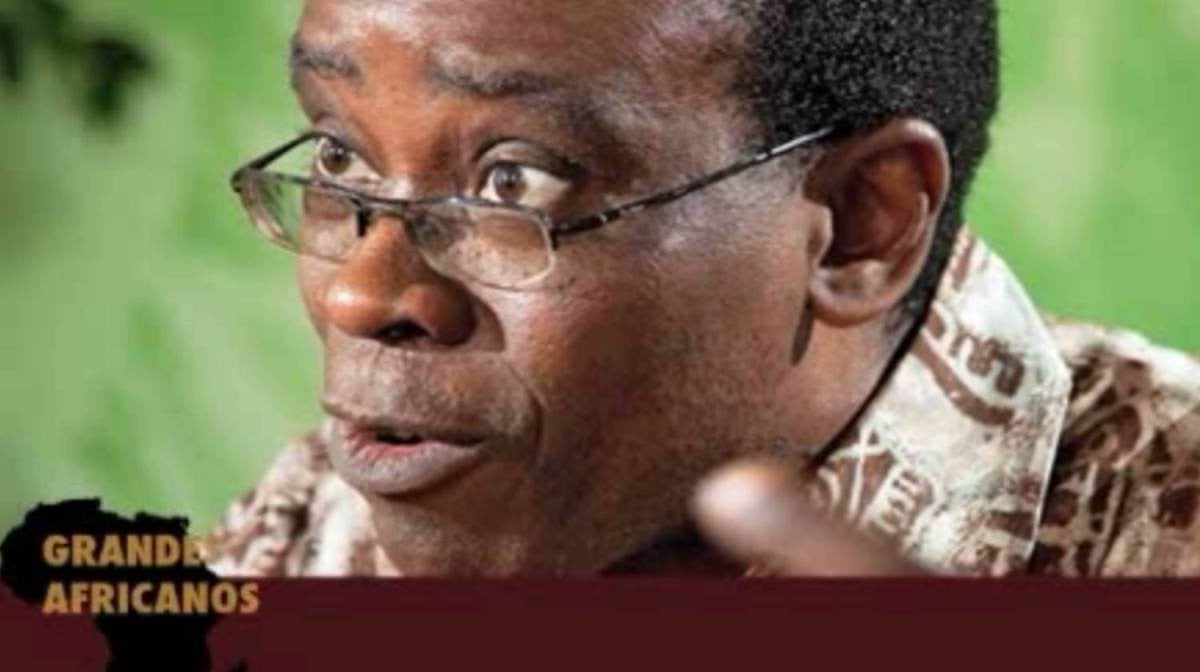 Imagem de Nnimmo Bassey