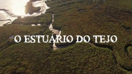 Estuário do Tejo - O Reino das Aves