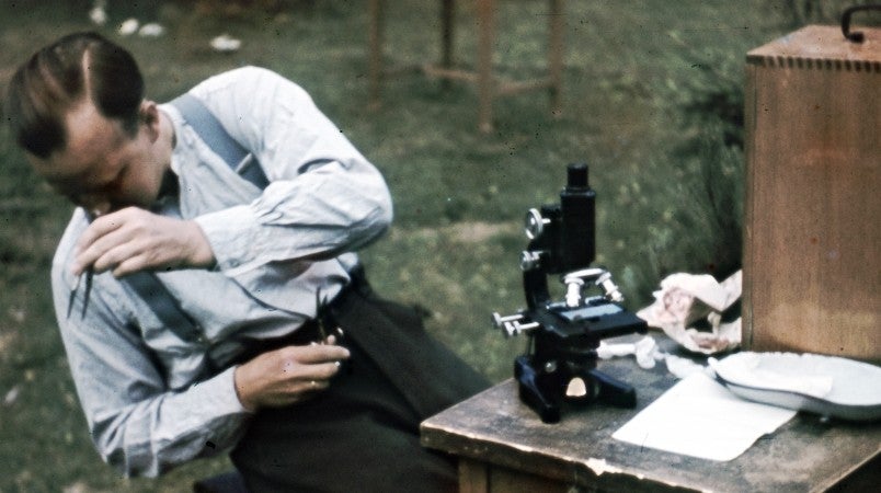 Imagem de Os Drogados de Adolf Hitler