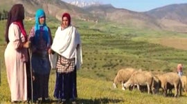 Imagem de Mulheres no Neg�cio da Cria��o de Ovelhas