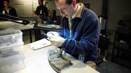 Imagem de Perdido na Tradu��o