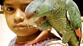 Imagem de Aventuras nas Am�ricas