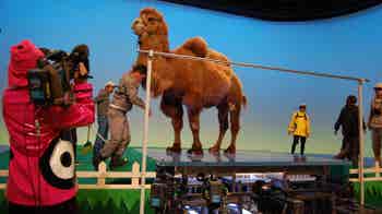 Descobrir a Ci�ncia