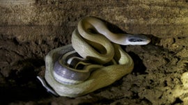 Imagem de Camboja, O Reino da �gua