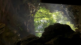 Imagem de Vietname, F�nix Renascida das Cinzas