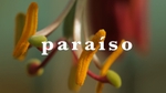 Play - Paraíso