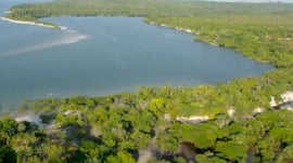 Imagem de Rio Amazonas